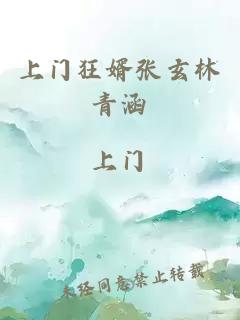 上门狂婿张玄林青涵