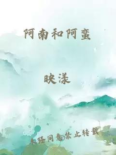 阿南和阿蛮