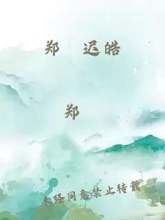 郑淣迟皓