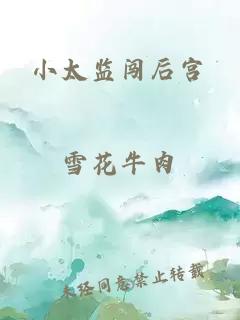 小太监闯后宫