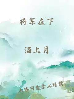 将军在下