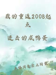 我的重返2008起点