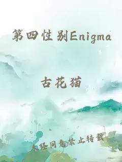 第四性别Enigma