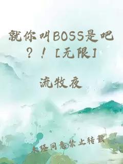 就你叫BOSS是吧？！[无限]