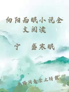 向阳而眠小说全文阅读