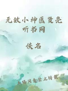 无敌小神医贤亮听书网