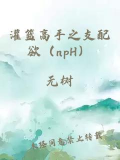 灌篮高手之支配欲（npH）