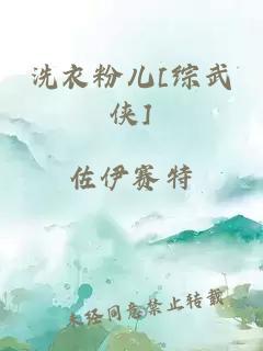 洗衣粉儿[综武侠]