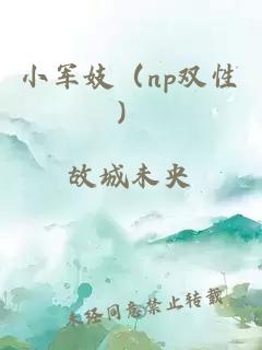 小军妓（np双性）