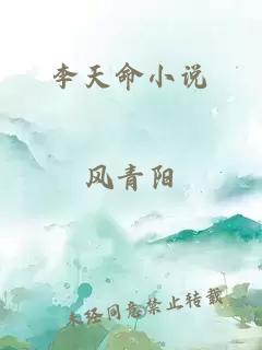 李天命小说