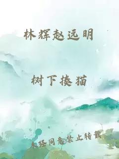 林辉赵远明