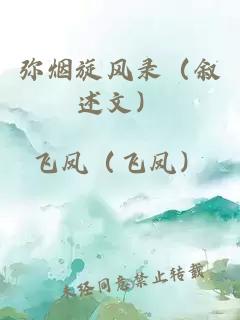 弥烟旋风录（叙述文）